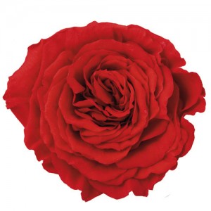 상품 섬네일 상품 섬네일