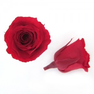 상품 섬네일 상품 섬네일