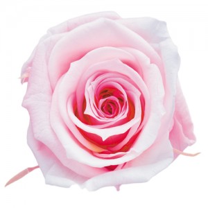 상품 섬네일 상품 섬네일