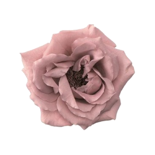 상품 섬네일 상품 섬네일