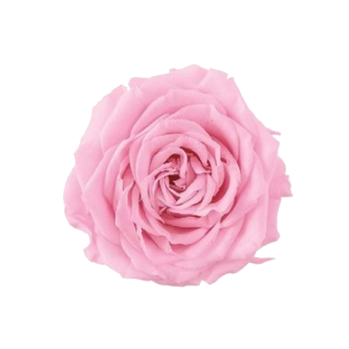 상품 섬네일 상품 섬네일