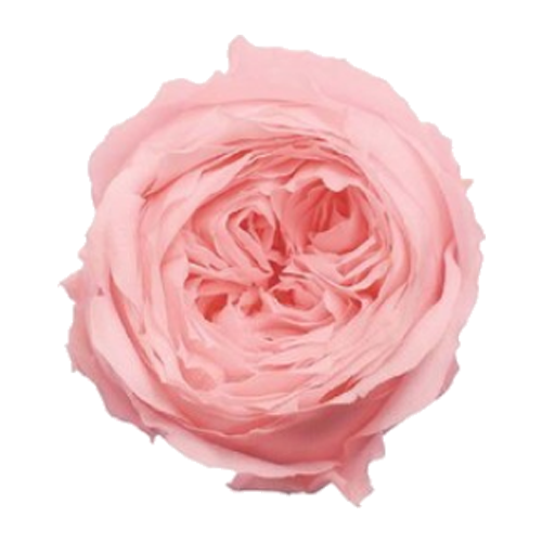 상품 섬네일 상품 섬네일