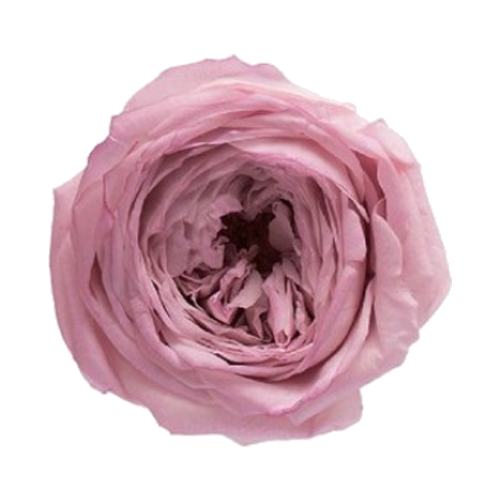 상품 섬네일 상품 섬네일