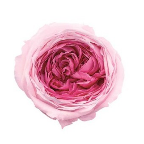 상품 섬네일 상품 섬네일