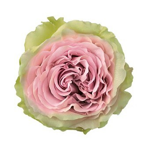 상품 섬네일 상품 섬네일