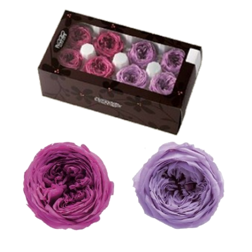 상품 섬네일 상품 섬네일