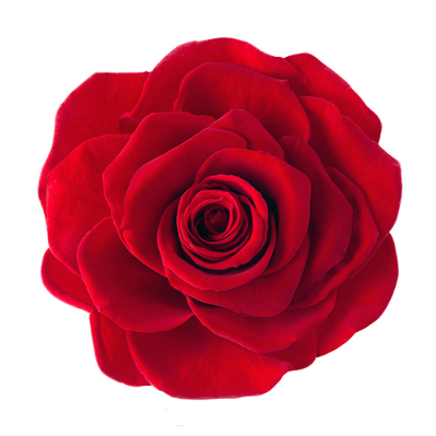 상품 섬네일 상품 섬네일