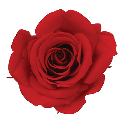 상품 섬네일 상품 섬네일