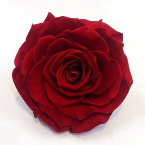 상품 섬네일 상품 섬네일