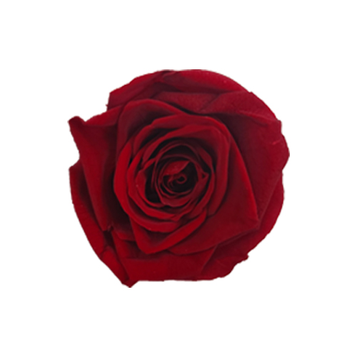 상품 섬네일 상품 섬네일