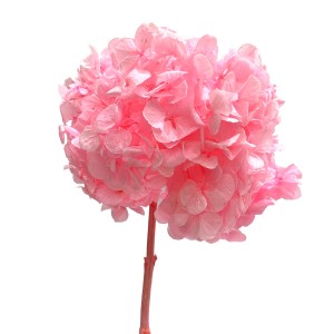 상품 섬네일 상품 섬네일