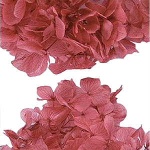 상품 섬네일 상품 섬네일