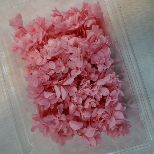 상품 섬네일 상품 섬네일