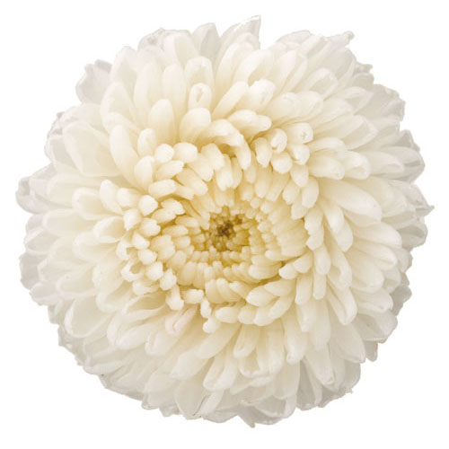 상품 섬네일 상품 섬네일