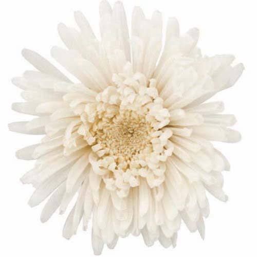 상품 섬네일 상품 섬네일