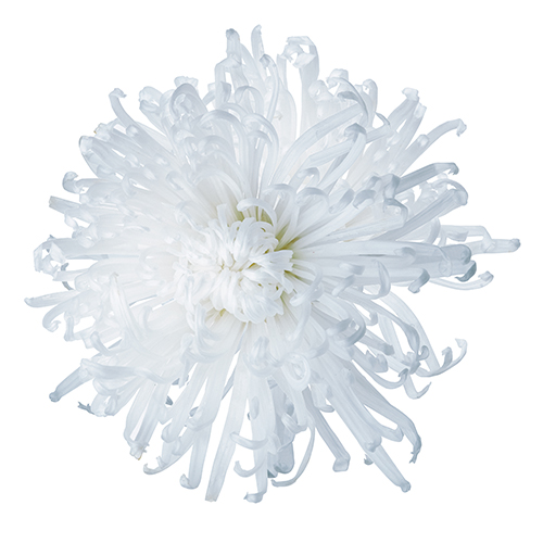 상품 섬네일 상품 섬네일