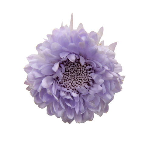 상품 섬네일 상품 섬네일