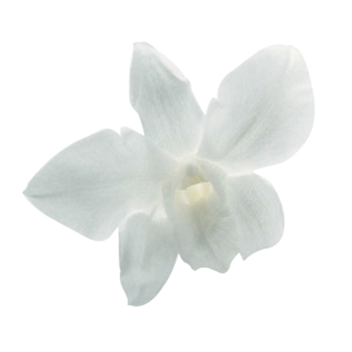 상품 섬네일 상품 섬네일