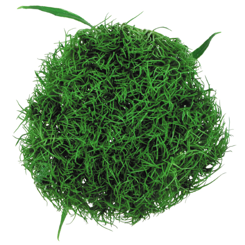 상품 섬네일 상품 섬네일