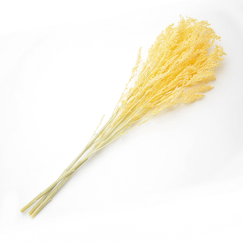 상품 섬네일 상품 섬네일