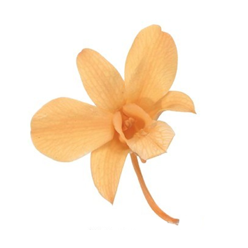 상품 섬네일 상품 섬네일