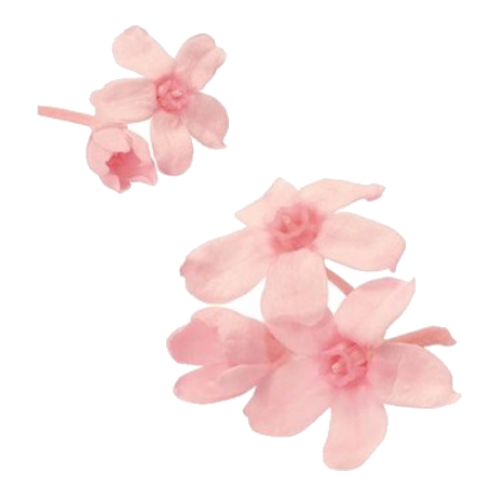 상품 섬네일 상품 섬네일