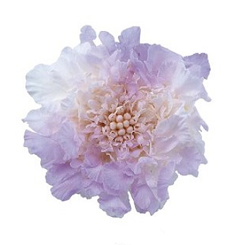 상품 섬네일 상품 섬네일