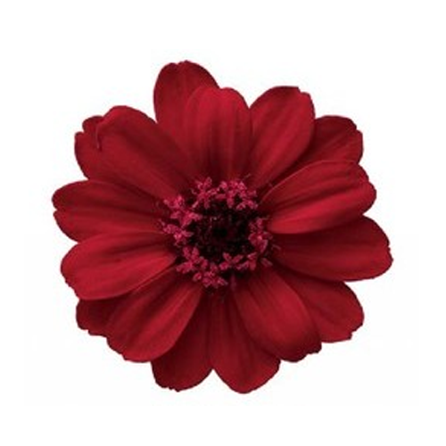 상품 섬네일 상품 섬네일