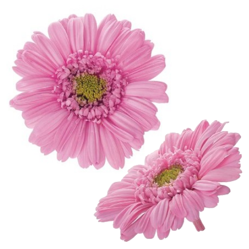 상품 섬네일 상품 섬네일