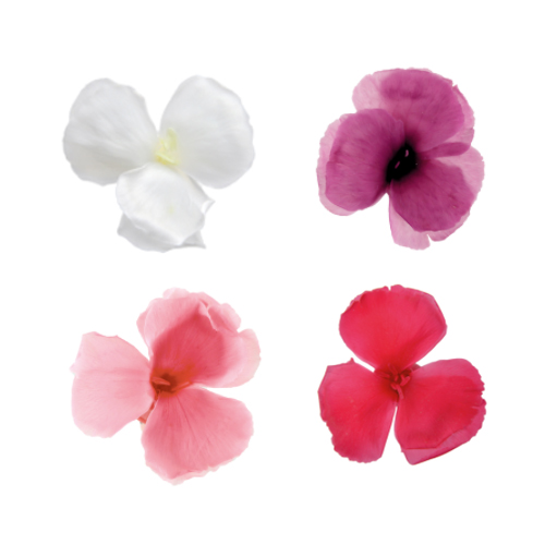 상품 섬네일 상품 섬네일