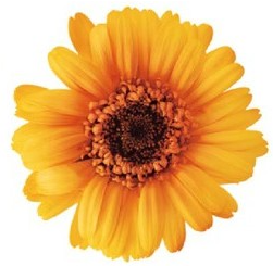 상품 섬네일 상품 섬네일