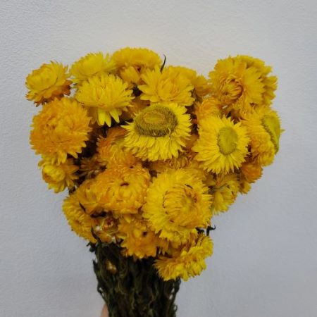 상품 섬네일 상품 섬네일