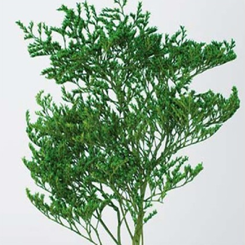 상품 섬네일 상품 섬네일