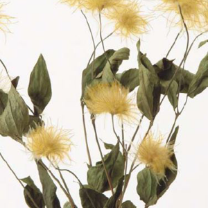 상품 섬네일 상품 섬네일