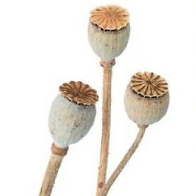 상품 섬네일 상품 섬네일