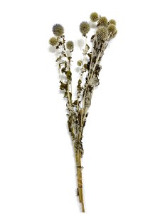 상품 섬네일 상품 섬네일