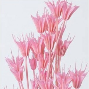 상품 섬네일 상품 섬네일