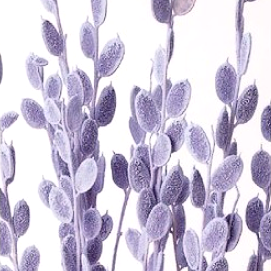 상품 섬네일 상품 섬네일