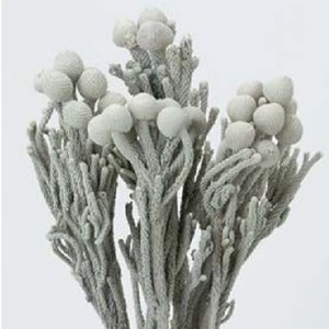 상품 섬네일 상품 섬네일