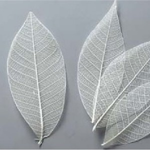 상품 섬네일 상품 섬네일