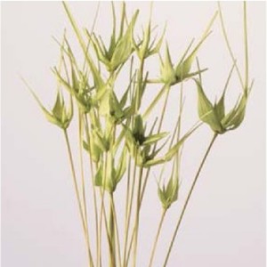 상품 섬네일 상품 섬네일