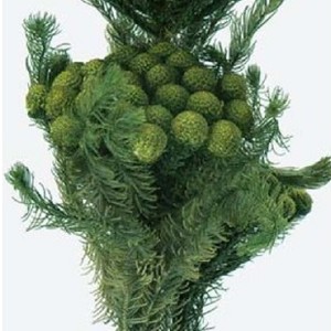 상품 섬네일 상품 섬네일