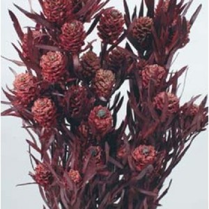 상품 섬네일 상품 섬네일