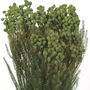 상품 섬네일 상품 섬네일