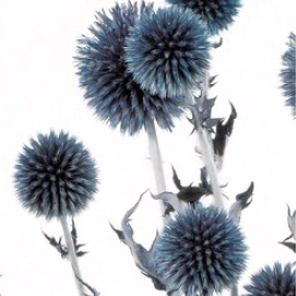 상품 섬네일 상품 섬네일