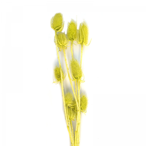 상품 섬네일 상품 섬네일