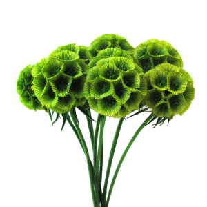 상품 섬네일 상품 섬네일