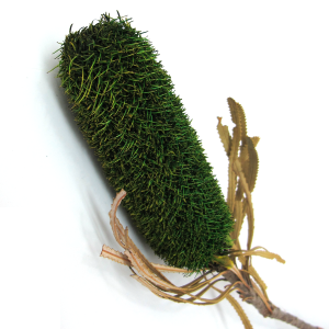 상품 섬네일 상품 섬네일