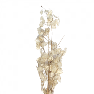 상품 섬네일 상품 섬네일