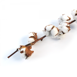 상품 섬네일 상품 섬네일